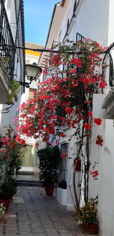 Precioso Y Acogedor Atico Old Town Apartment Marbella Exterior photo