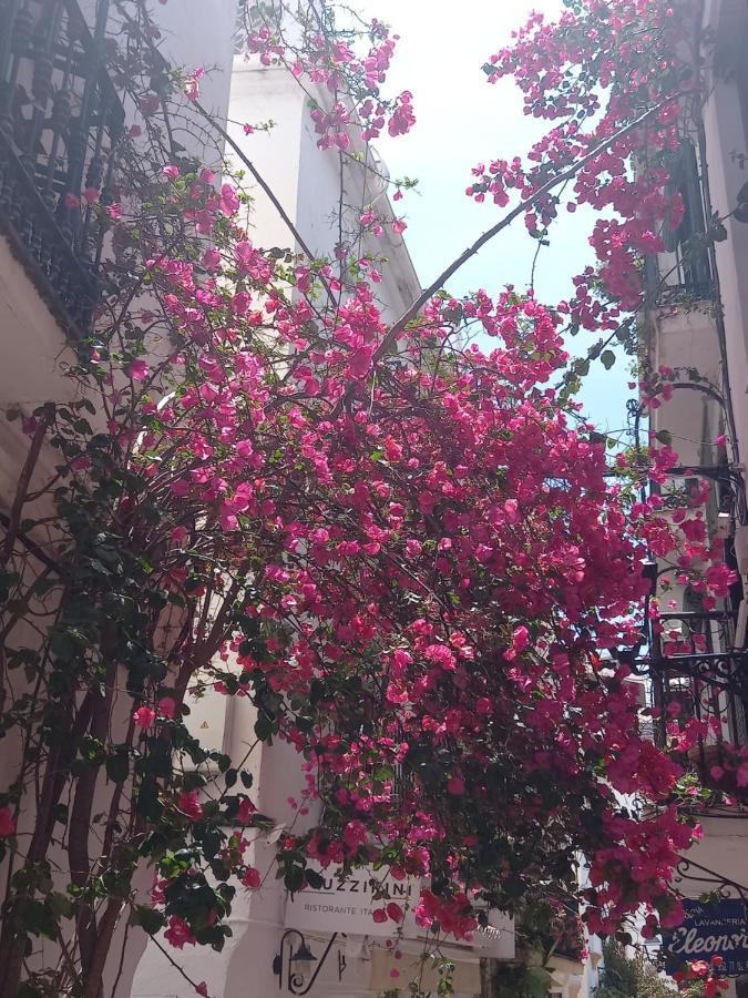 Precioso Y Acogedor Atico Old Town Apartment Marbella Exterior photo